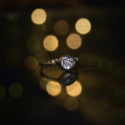The Weaver & The Web Signet Rings
