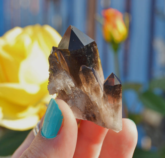 Close-up of a hand holding a Brazilian smoky quartz crystal cluster. The specimen features three prominent, sharply terminated points with a rich, translucent brown hue. Sunlight highlights the crystal's clarity and natural growth patterns. The background includes blurred yellow and orange flowers.

